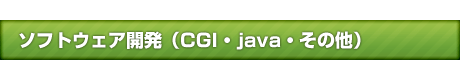 ソフトウェア開発（CGI・java・その他）