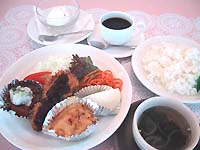 『日替りランチ・火曜日』700円みぞれハンバーグ・ヒレ串カツ・ポテトグラタン・フルーツ。・・・実は、火曜は、レディースデー。女性の方にはアイスクリームも^^。