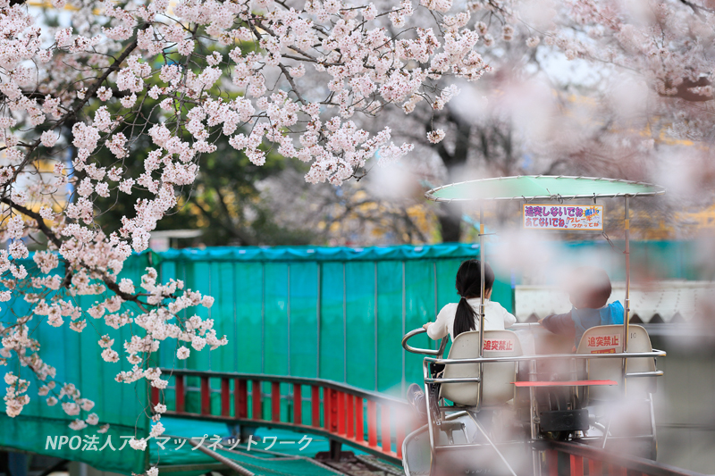 華蔵寺公園 満開の桜 季節の話題 おでかけ 観光 伊勢崎市を再発見 Imap