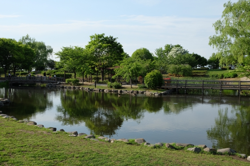 玉村町北部公園　修景池は玉村町の形を模しています