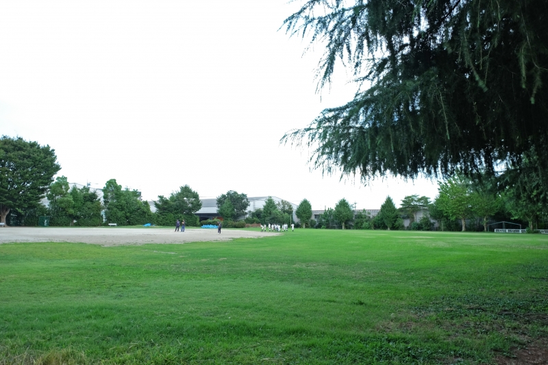 隣接する公園の野球場