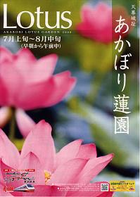 天幕城址　あかぼり蓮園まつり2008<br />Lotus　7月上旬～8月中旬　早朝から午前中が見頃！