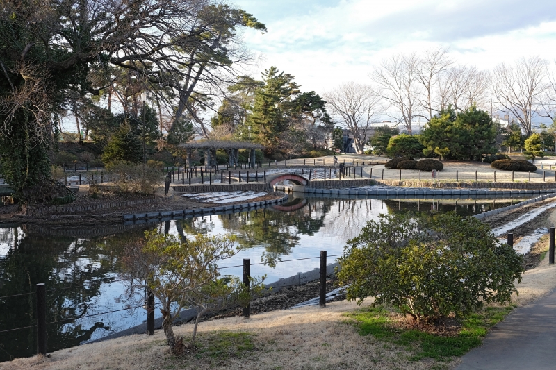 初夏には花菖蒲で鮮やかな風景が広がる水生植物園
