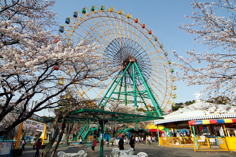 華蔵寺公園の桜ほぼ満開に 4月10日 季節の話題 おでかけ 観光 伊勢崎市を再発見 Imap