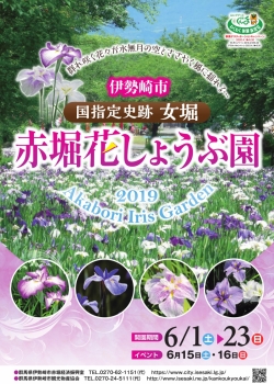 国指定史跡 女堀『赤堀花しょうぶ園』が見頃を迎えています