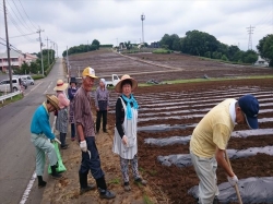 雨になんなくっていがったなあﾏﾙﾁ敷き第二段！やっちまんべえ