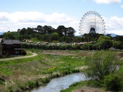 鹿島親水公園の鯉のぼり<br />5月の風に良く似合います