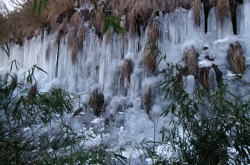 大室公園撮影会