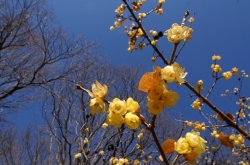 大室公園撮影会