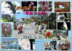 〜春の彩り〜華蔵寺公園ﾐﾆ撮影会