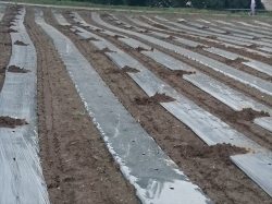 ﾏﾙﾁ直し！だってすんげえ豪雨！