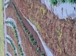 ﾏﾙﾁ直し、だってまたまた豪雨だもんねえ！