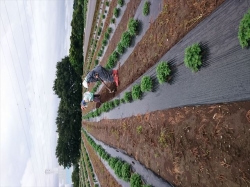 ﾏﾙﾁ直し、だってまたまた豪雨だもんねえ！