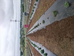 ﾏﾙﾁ直し、だってまたまた豪雨だもんねえ！