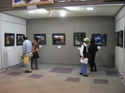 第３回　伊勢崎市文化協会写真展　開催<br />素敵な作品をぜひご覧下さい
