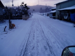 未曾有の大震災後南相馬に物資支援炊き出し只今宮城県を中心に支援中