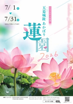 まもなく開花シーズン到来！天幕城址『あかぼり蓮園』7月1日開園