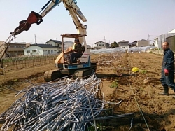 ﾋﾞﾆｰﾙﾊｳｽの撤去作業