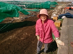 豪雪被害にあったビニールハウスの撤去作業