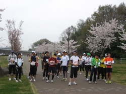 「伊勢崎“エコ”マラソンピクニック」リハーサル大会 開催<br />春を楽しみながらのんびり、ゆっくりランニング！