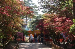 ゴールデンウィークの華蔵寺公園<br />初夏の日差しと緑を満喫