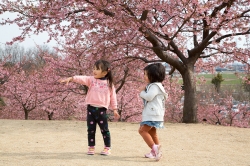 市民のもり公園で春の訪れ