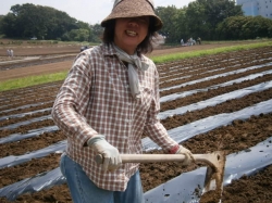 赤堀小菊の里つくりの会ﾏﾙﾁ敷き作業