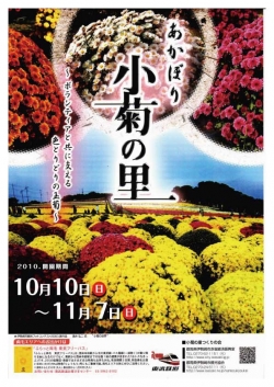 第８回 あかぼり 小菊の里まつり<br />ボランティアと共に支える色とりどりの玉菊