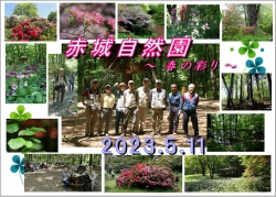 2023.5.11  早春の赤城自然園(ｼｬｸﾅｹﾞ)