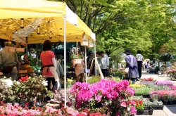 ゴールデンウィークは華蔵寺公園へ