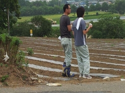 赤堀小菊の里つくりの会本圃植え付け作業１日目終了