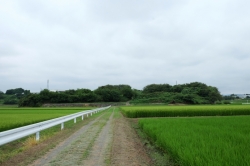 いせさきふらっと観光　『毒島城跡』