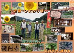 【撮影会】笠懸ひまわり畑～足利学校・鑁阿寺