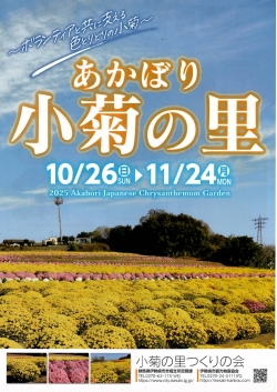 あかぼり小菊の里　開園　