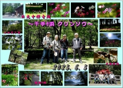 千手ｹ浜クリンソウ撮影会