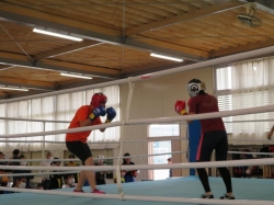 群馬県マスボクシング大会