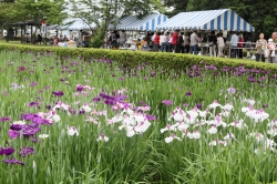 あずま水生植物公園まつり