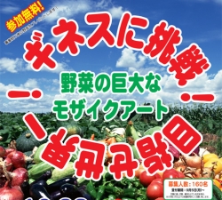 ギネスに挑戦！目指せ世界一！野菜の巨大なモザイクアート<br />参加者募集中！！