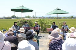 バラの花と演奏で癒しのひととき