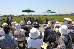 バラの花と演奏で癒しのひととき