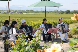 バラの花と演奏で癒しのひととき