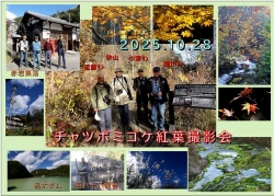 チャツボミゴケ紅葉撮影会