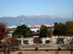 初冬の風景<br />冬枯れ前の公園をご覧下さい