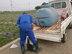 小菊の里除草作業