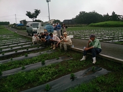 小菊の里つくりの会除草作業