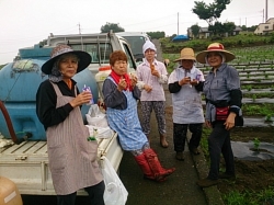 小菊の里つくりの会除草作業