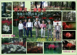 彼岸花撮影会