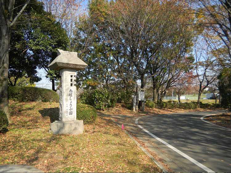 赤堀花しょうぶ公園